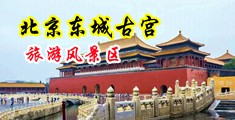 大鸡巴搞欧美美女中国北京-东城古宫旅游风景区
